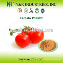 100% Tomatenpulver 60-200mesh